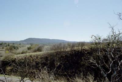 TEXAS SIGHT SEEING 3.JPG